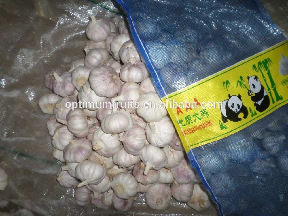 China Shandong normal white fresh red garlic size 5.0cm