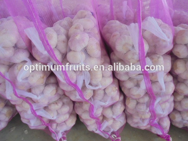 China garlic 1kg bag garlic price