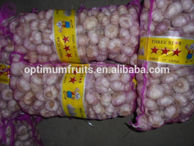 New harvest Chinese garlic from Jinxiang