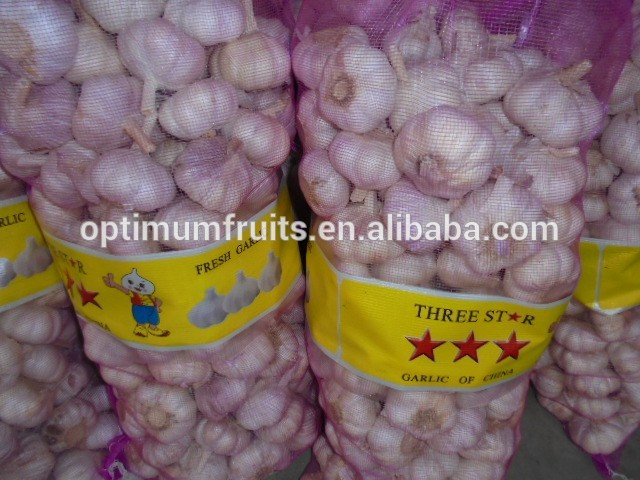 New harvest Chinese garlic from Jinxiang