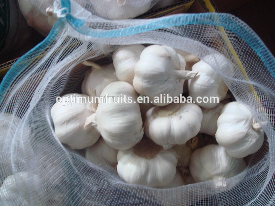 China fresh garlic ajo /alho/ail price per ton