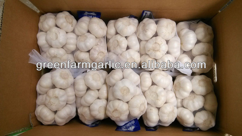 pure white garlic 5cm in 500g bags