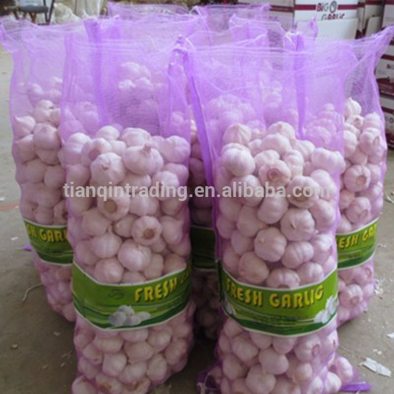 Chinese Garlic Packages in Bag or Carton