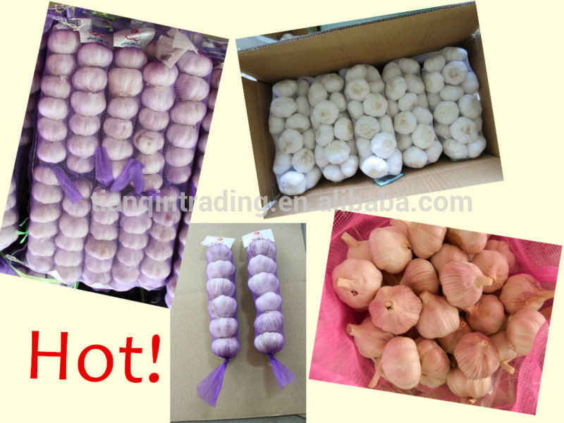 Chinese Garlic Packages in Bag or Carton