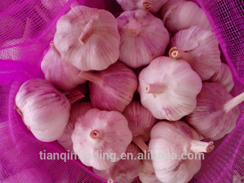 2014 New Garlic Rate