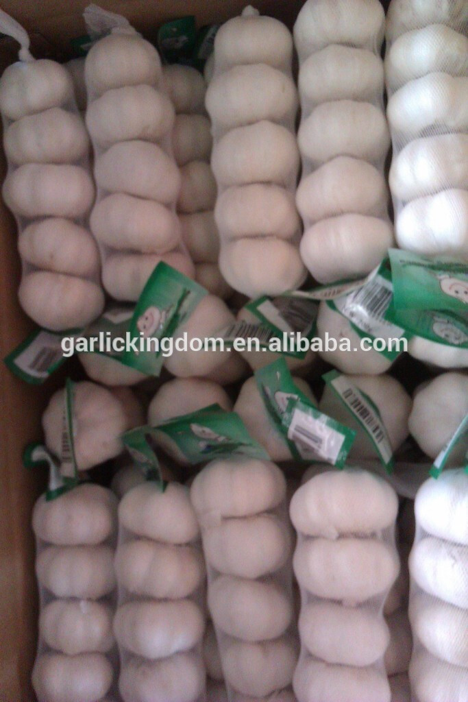 new crop Shandong fresh garlic