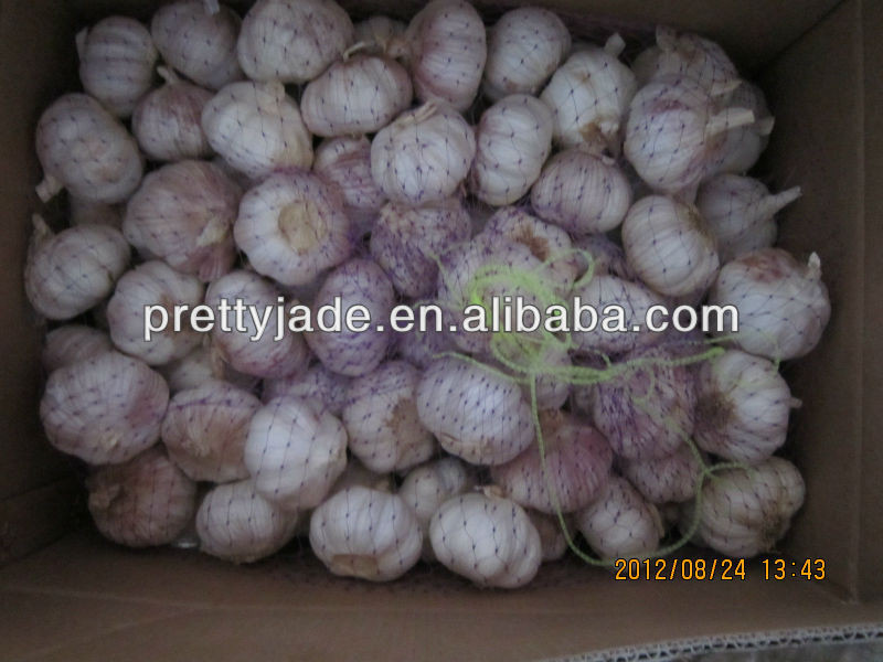 high quality china garlic