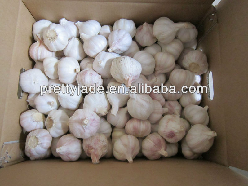 china white garlic