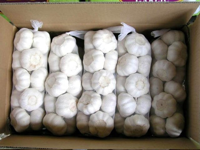 white garlic exporter from china