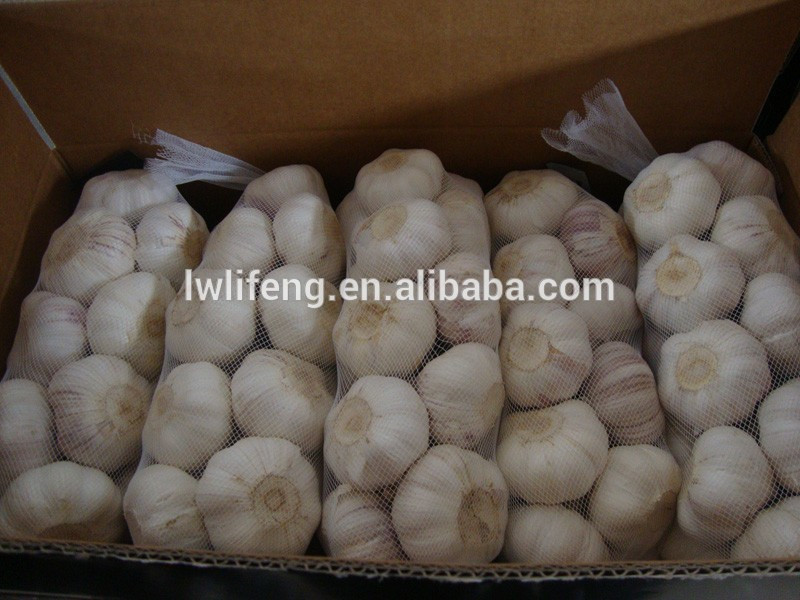 Chinese Normal White Garlic