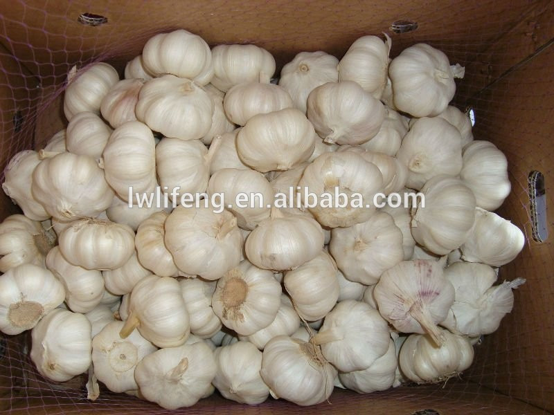 2017 chinese perfect quality pure white garlic