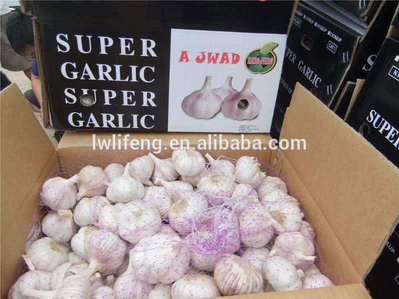 chiniese 2017 new crop fresh white garlic