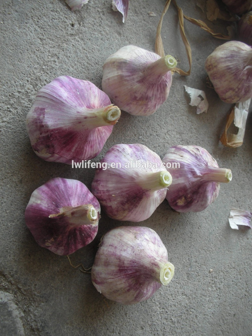 2017 new crop of chinese pink garlic