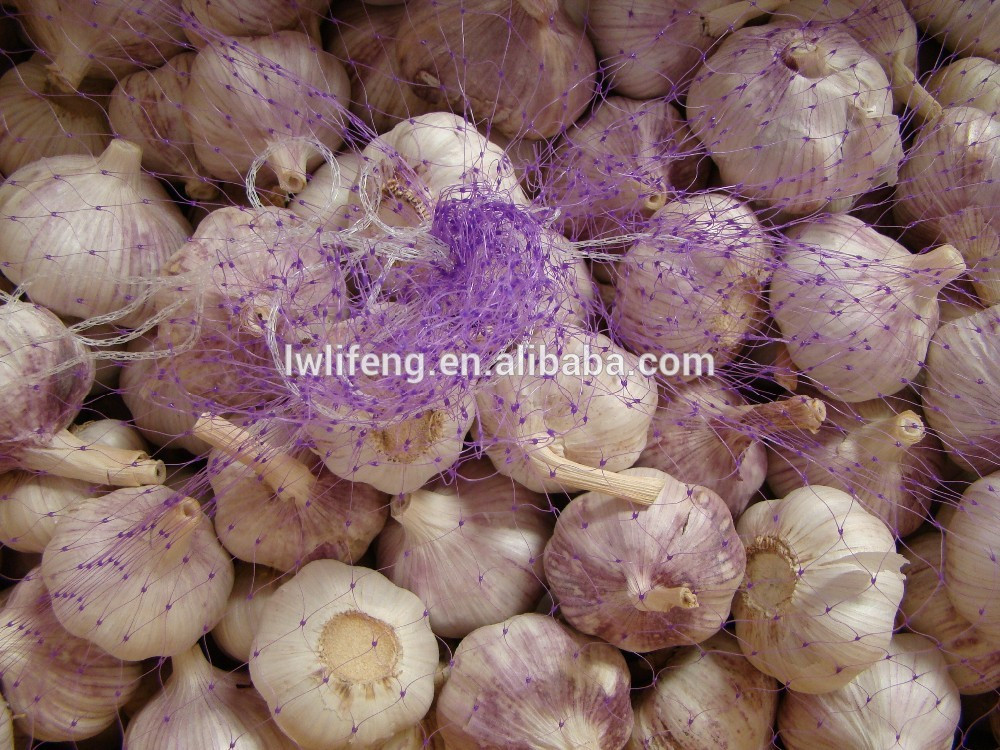 Most favourable Price of Chinese Purple Garlic / Red Garlic / Pink Garlic