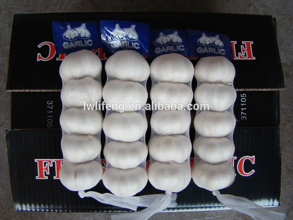 High Quality Chinese fresh White Garlic for sale / Pure White Garlic