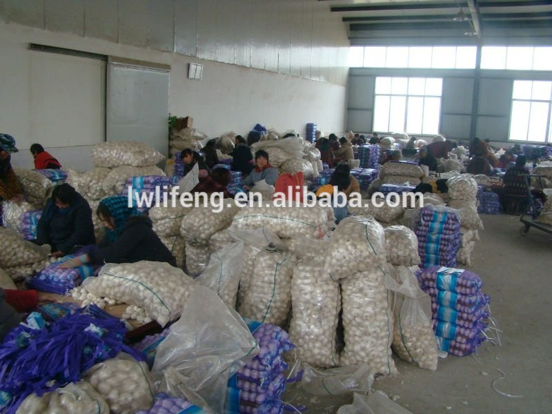 All the year supply perfect high quality chinese garlic / white garlic