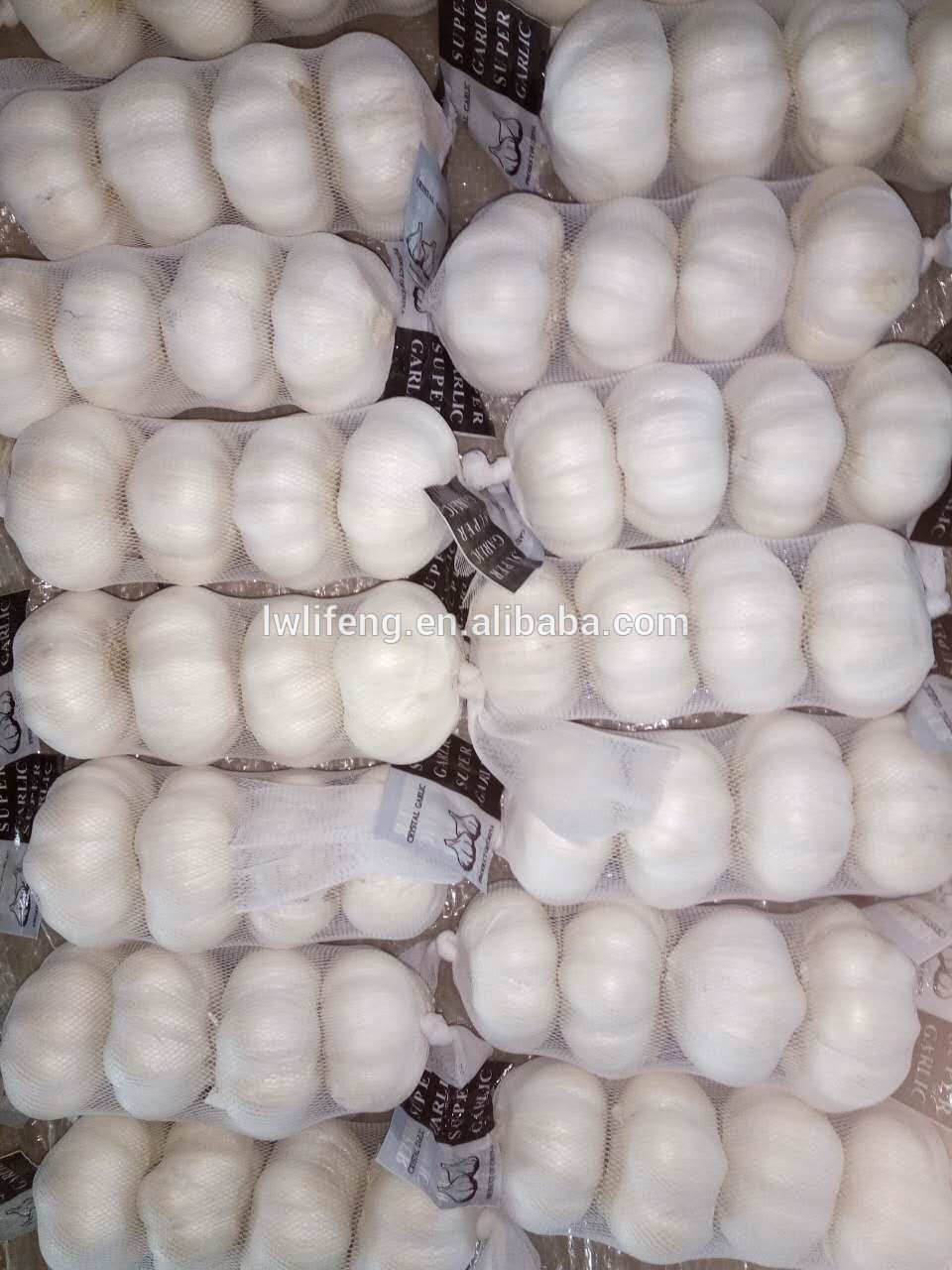 High Quality Chinese fresh White Garlic for sale / Pure White Garlic