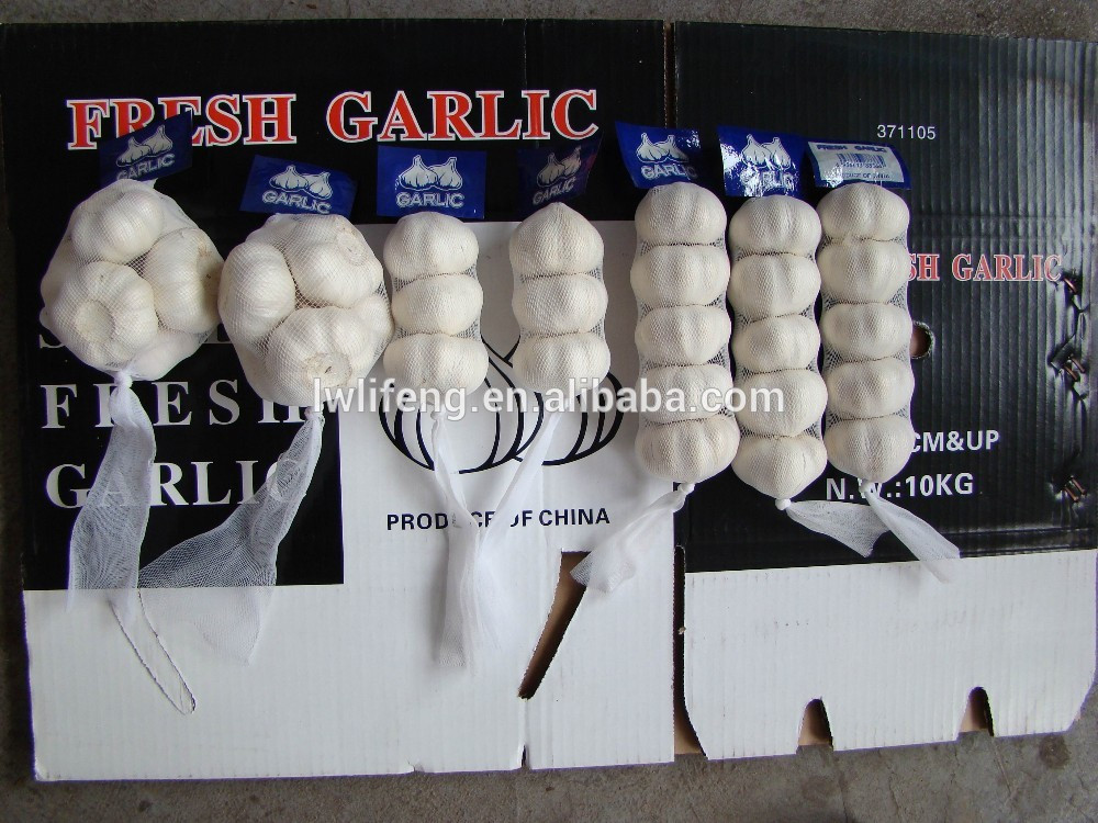 High Quality Chinese fresh White Garlic for sale / Pure White Garlic