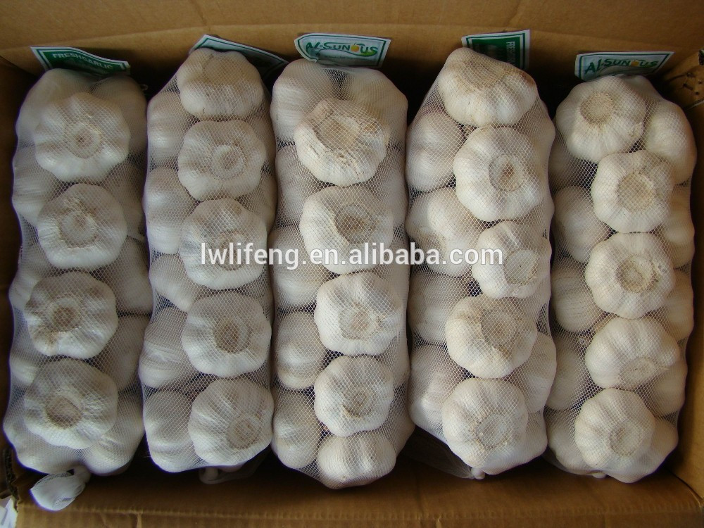 top quality White Garlic / fresh Garlic / Chinese garlic