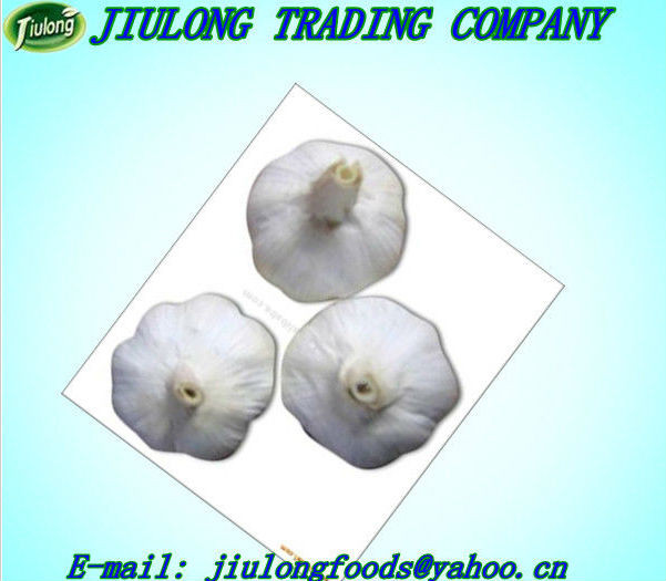 Chinese natural vegetable seeds garlic