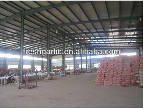 Jinxiang natural garlic biggest supplier hot sale