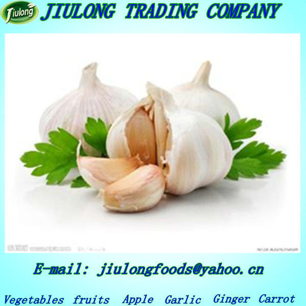 purchase fresh natural garlic