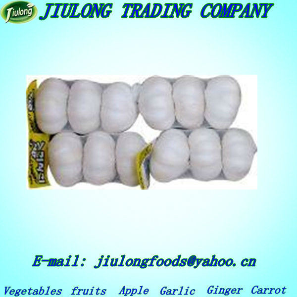 Buy direct from china factory natural garlic price