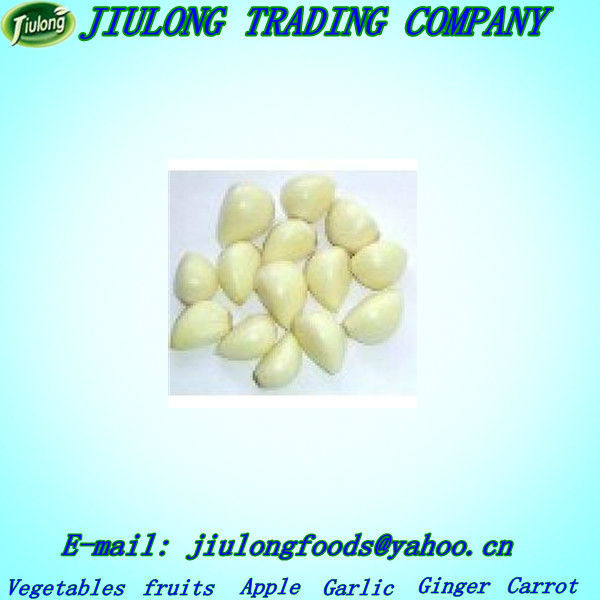 Natural fresh garlic price Jinxiang