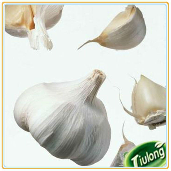 Fresh natual garlic