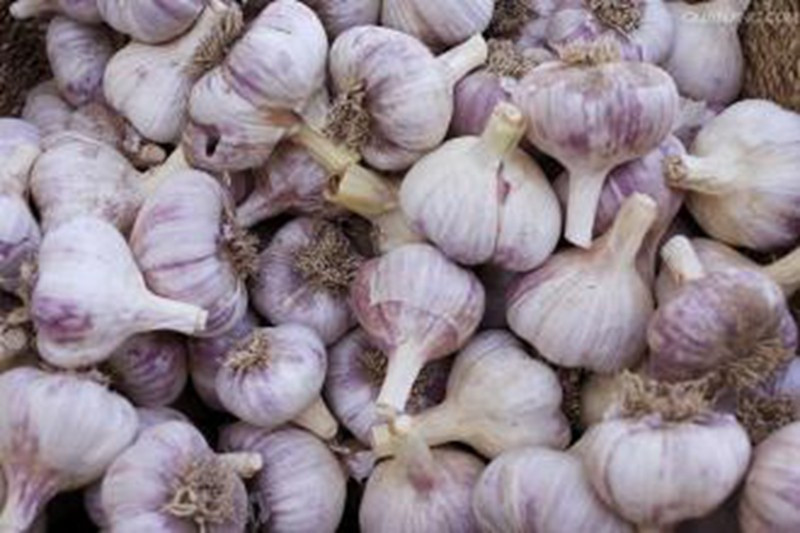 China Garlic of 2017 Crop in Hot Sale