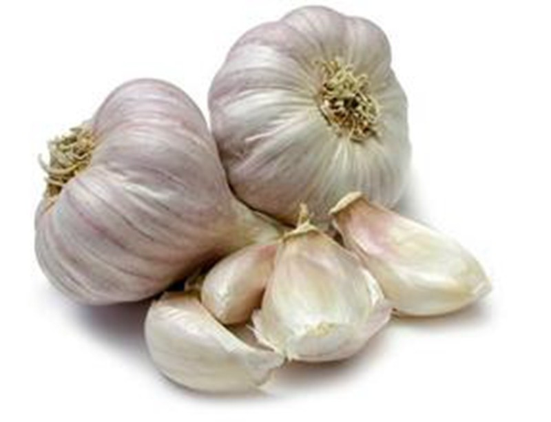 Garlic Box 10kg Exporting Standard Chinese Fresh Garlic with Reasonable Price