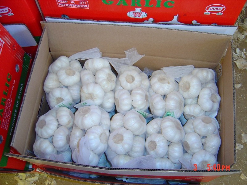 Pure/Snow/All White Garlic for North America Market