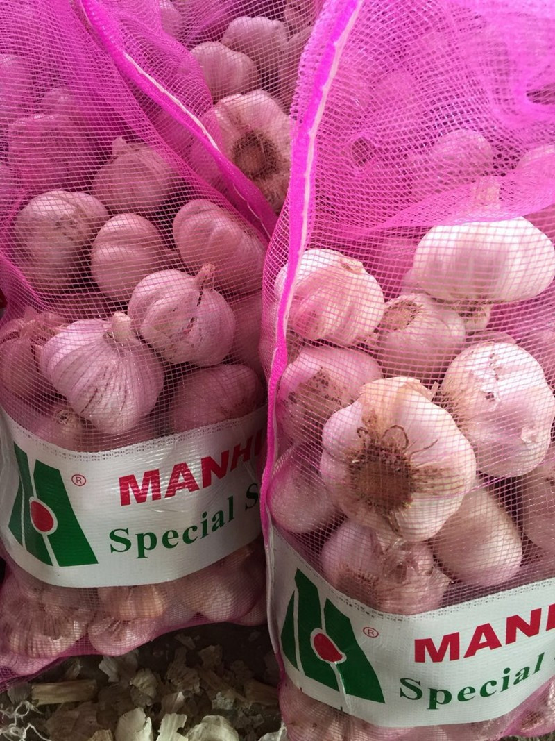 Fresh Jinxiang Garlic in Hot Sale of Competitive Price