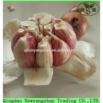 2017 2017 year china new crop garlic Fresh  China  Garlic  Production  Price