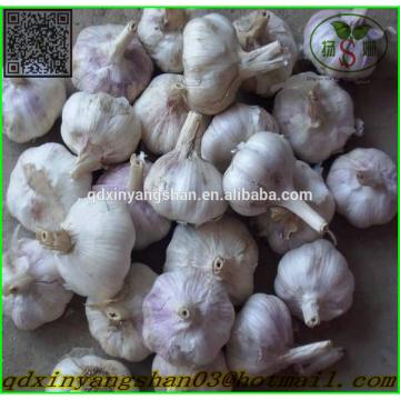 Hot 2017 year china new crop garlic Sale  Chinese  Garlic  With  A Purple White Skin Outside And Each Clove Purple White Skin Inside