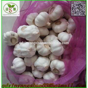 Heallth 2017 year china new crop garlic Benifits  Vegetable  China  Spicy  Garlic