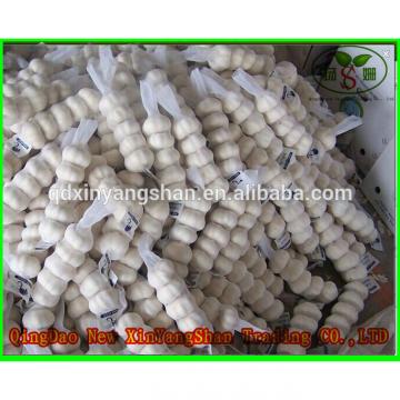 Fresh 2017 year china new crop garlic Chinese  Jinxiang  Garlic  Price  Per Ton Packing In Mesh Bag