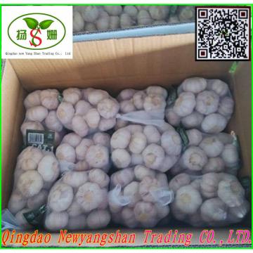 Price 2017 year china new crop garlic Of  Fresh  Chinese  Garlic  Specification 4.5cm 5.0 cm 5.5cm 6.0cm