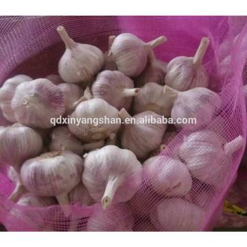 2017 2017 year china new crop garlic Chinese  Nature  Normal/Purple  Garlic  Price