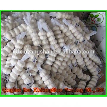 (HOT) 2017 year china new crop garlic Fresh  white  garlic  specification  more than 5 cm/GARLIC