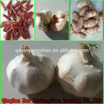 [HOT] 2017 year china new crop garlic 2014  fresh  white  garlic  from 4.0cm---6.0cm