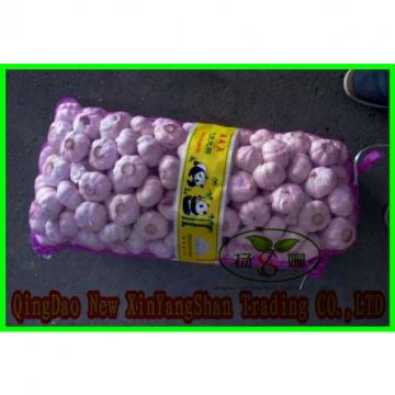 Fresh 2017 year china new crop garlic Chinese  Jinxiang  Garlic  Price  Per Ton Packing In Mesh Bag