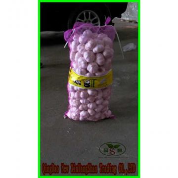 China&#39;s 2017 year china new crop garlic fresh  garlic  -  shandong 