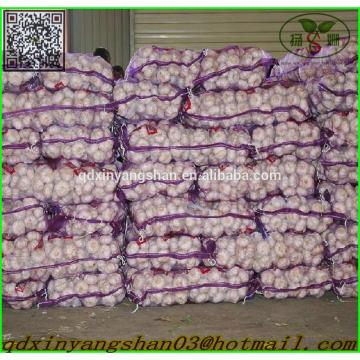 Shandong 2017 year china new crop garlic Garlic  Wholesale  Export  Price  2017