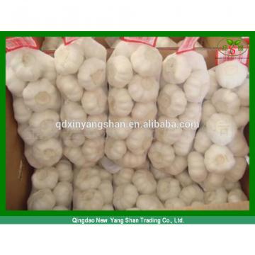 Shandong 2017 year china new crop garlic Garlic  Wholesale  Export  Price  2017