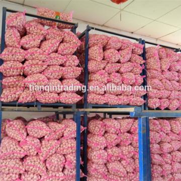 Garlic/Fresh 2017 year china new crop garlic Garlic    