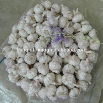 Fresh 2017 year china new crop garlic Garlic  /Fresh  Chinese  Garlic  /Fresh China Garlic