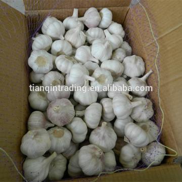 Fresh 2017 year china new crop garlic Garlic  /Fresh  Chinese  Garlic  /Fresh China Garlic