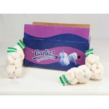 2015 2017 year china new crop garlic new  fresh  garlic  