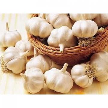 2017 2017 year china new crop garlic hot  sale  normal  white  fresh garlic